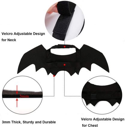 Bat Wings for Cats - Funny Costume for Cats