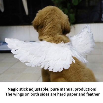 Dog Angel Wings