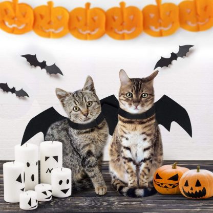 Bat Wings for Cats - Funny Costume for Cats